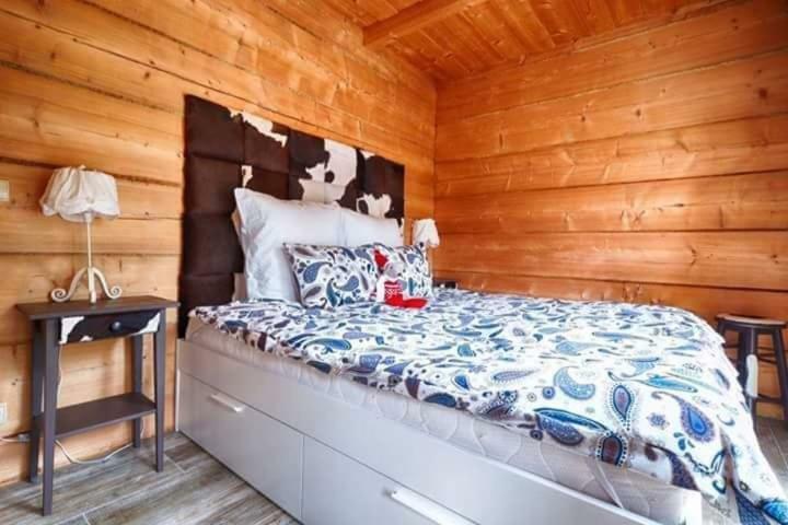 Apartamenty Kierpcowka 考斯赛力克 外观 照片